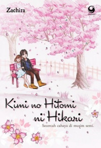 Image of Kimi no Hitomi ni Hikari